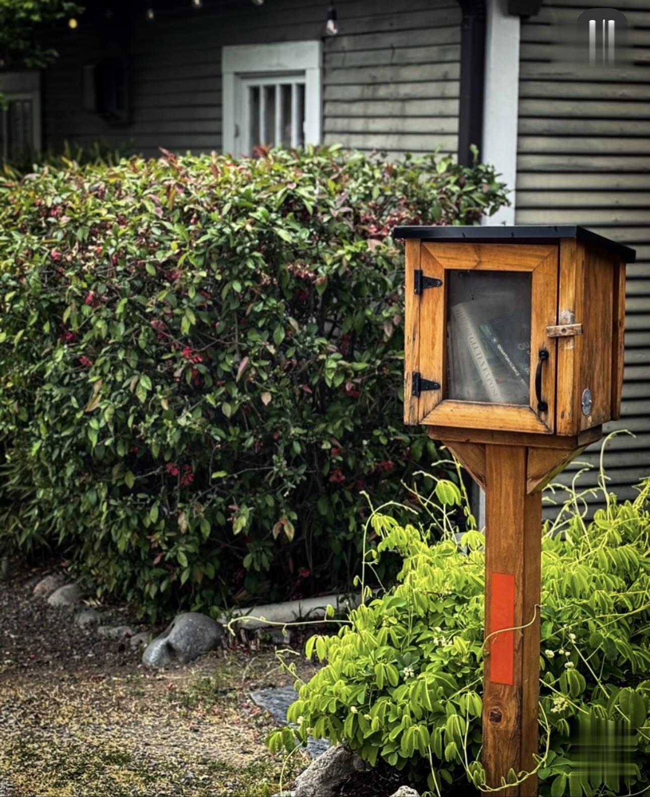 The little free library out front