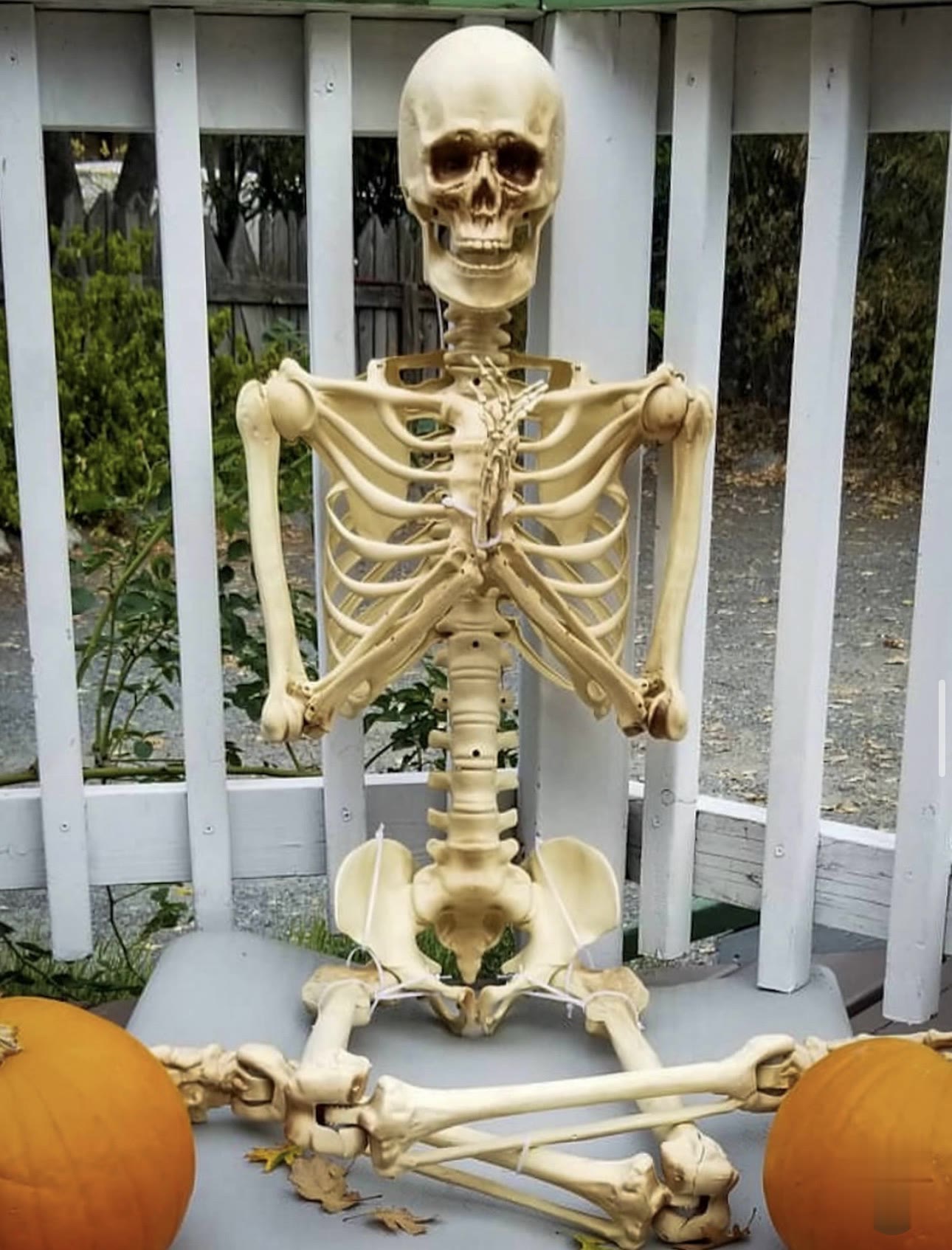 Our resident Halloween yogi in easy pose